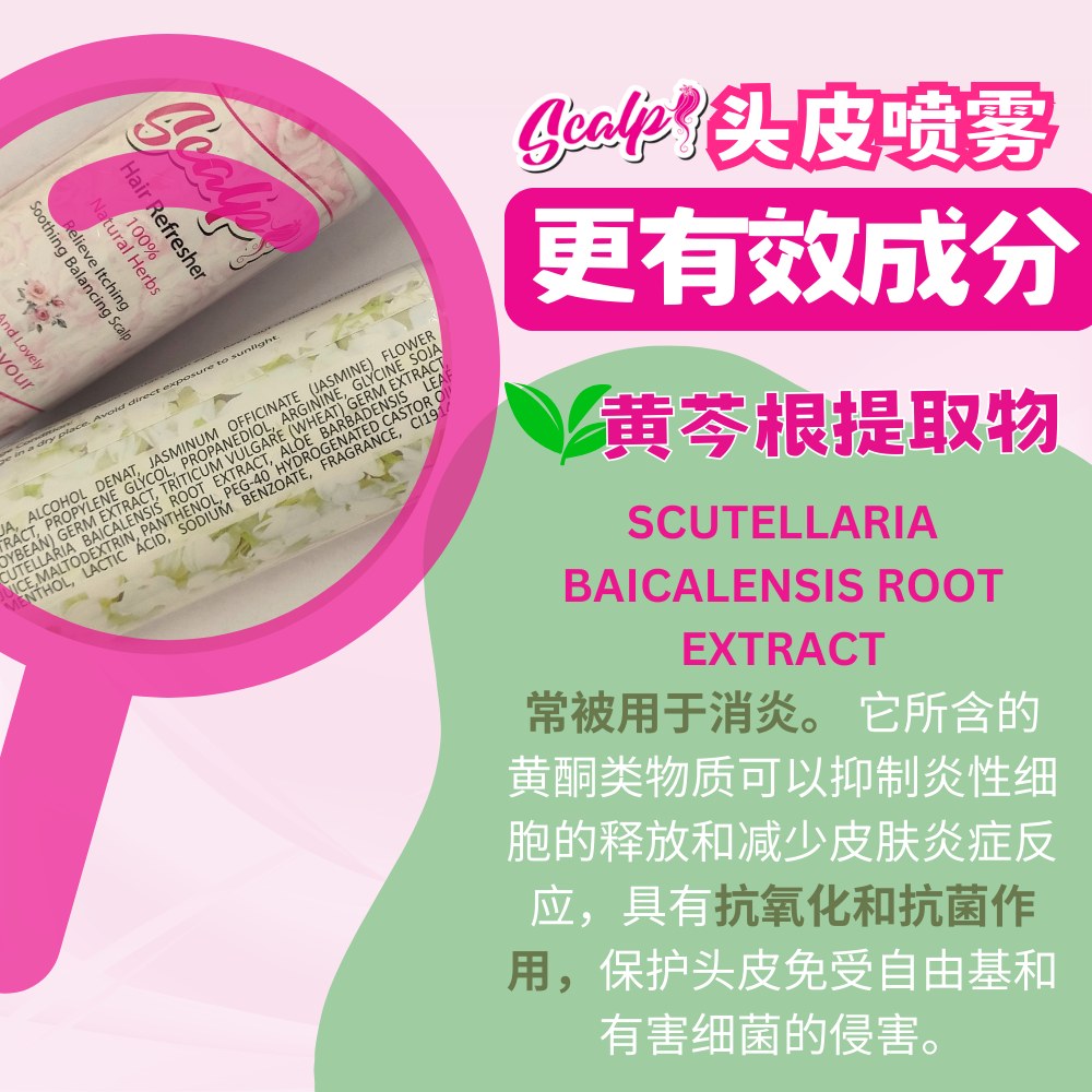 SCALPI成分 黄芩根提取物