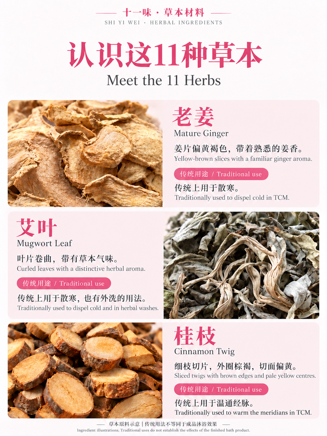 认识这11种草本,第一部分 / Meet the 11 herbs, part one